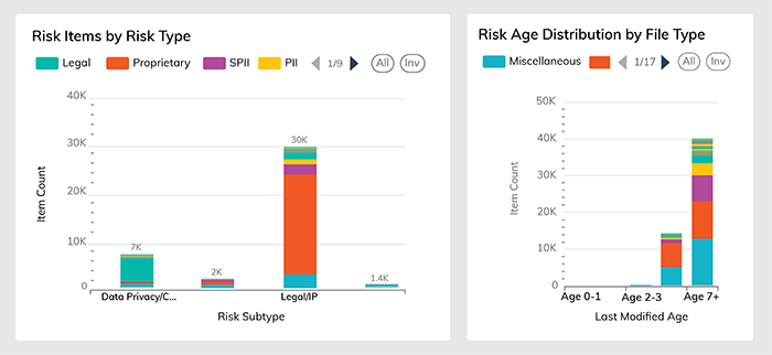 Risk Items by Risk Type