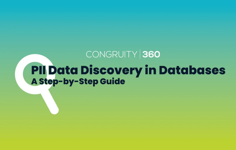 PII Data Discovery in Databases: A Step-by-Step Guide