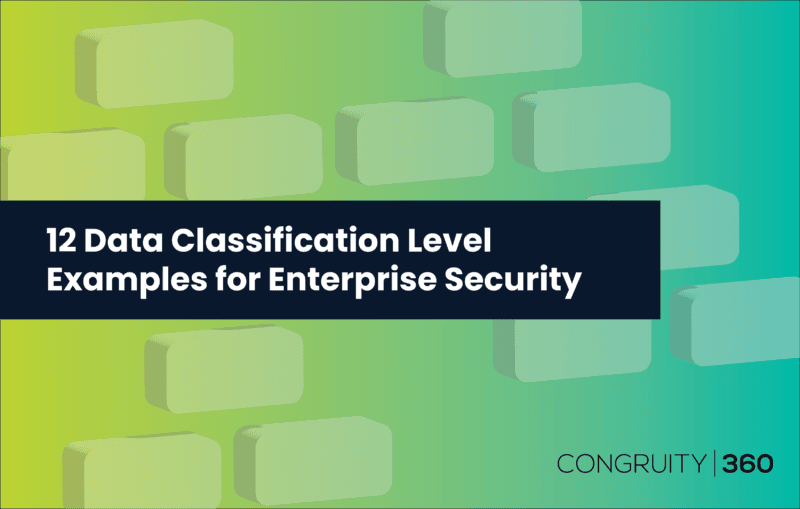 12 Data Classification Level Examples for Enterprise Security Congruity360